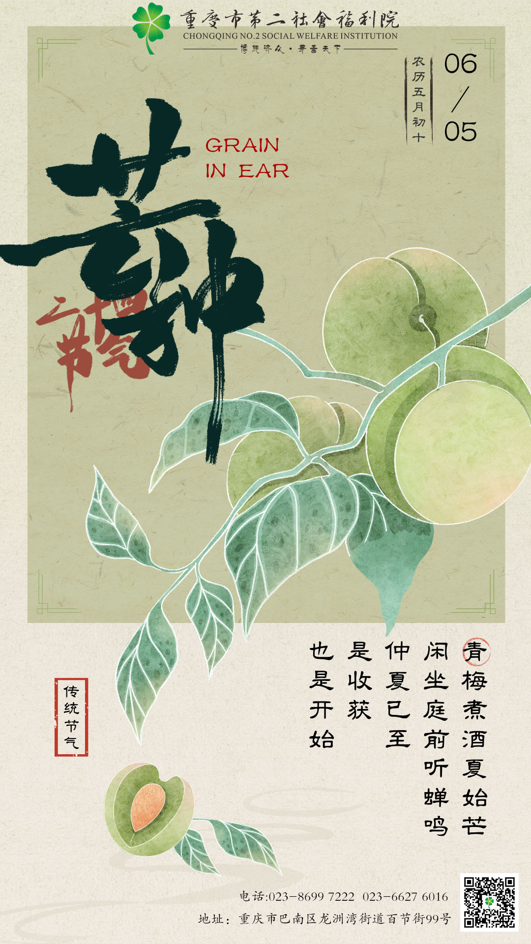 芒种 海报.jpg